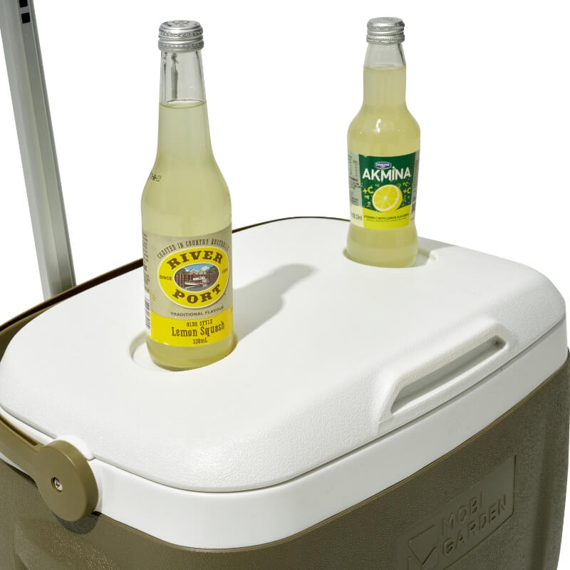 Arctic Ice Cooler Box