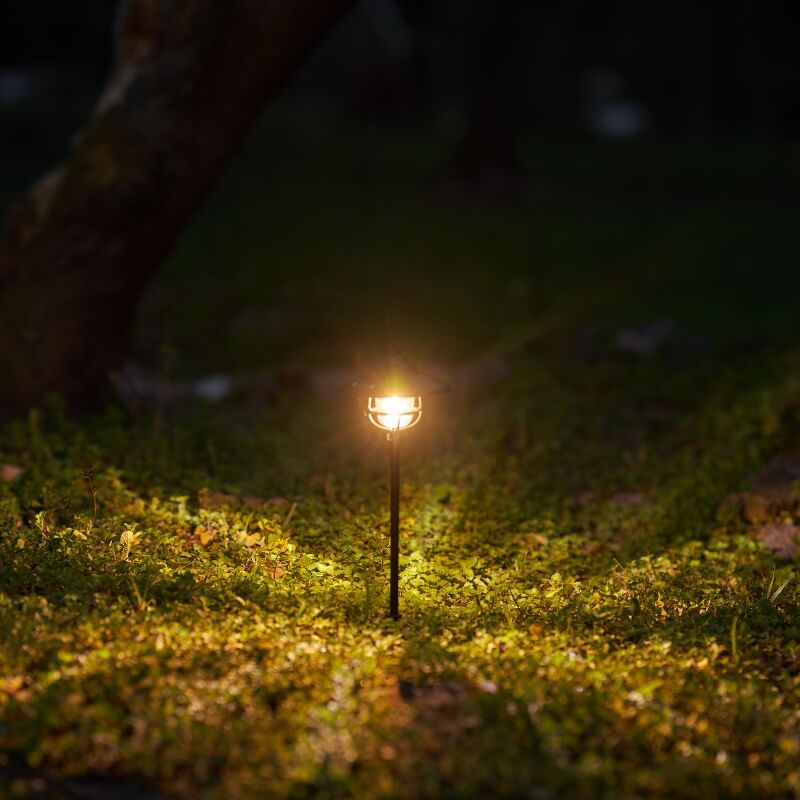 Starry Ground Stake Lights